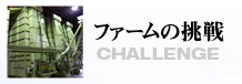 ファームの挑戦